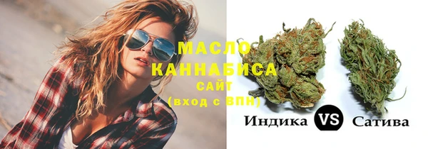 индика Богородск