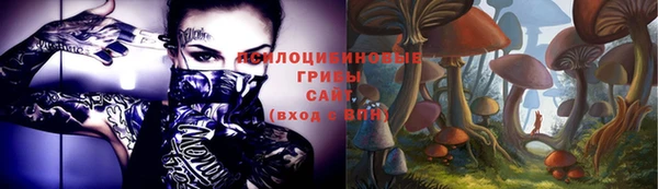 хмурый Белокуриха