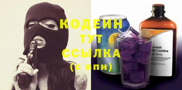 хмурый Белокуриха