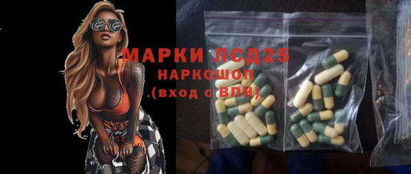 молекула духа Богородицк
