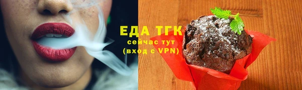 хмурый Белокуриха