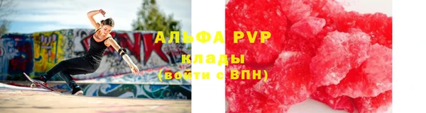 индика Богородск