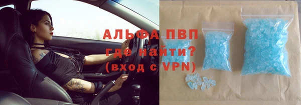 шишки Беломорск