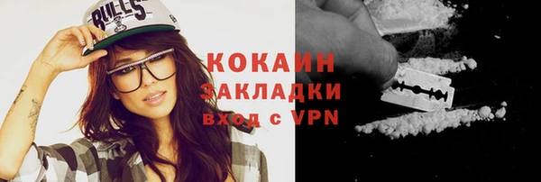молекула духа Богородицк