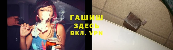 молекула духа Богородицк