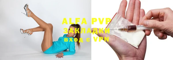 индика Богородск