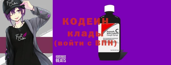 молекула духа Богородицк