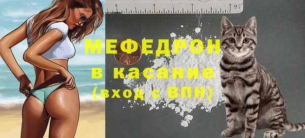 молекула духа Богородицк