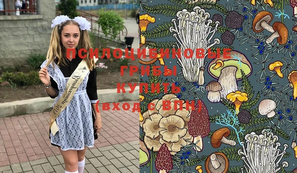 шишки Беломорск