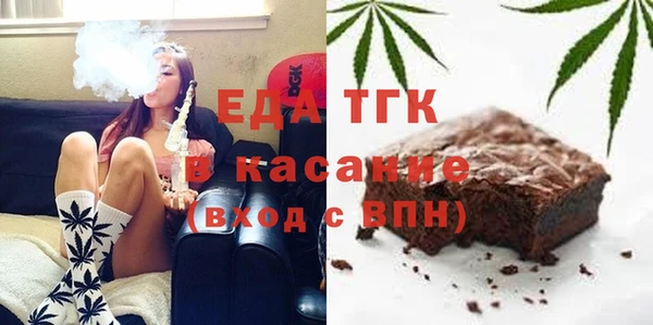 индика Богородск