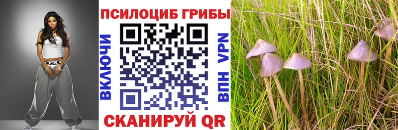 Галлюциногенные грибы ЛСД  закладка  Бокситогорск 