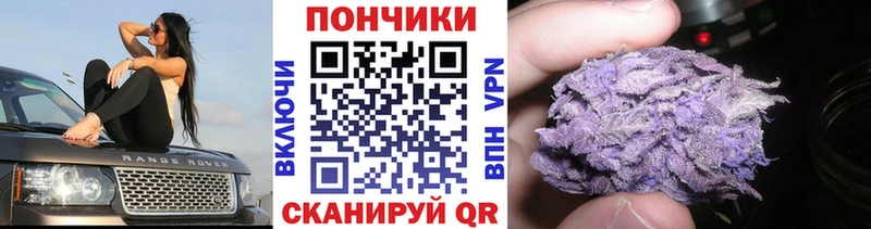 где купить   ОМГ ОМГ ССЫЛКА  Шишки марихуана THC 21%  Бокситогорск 